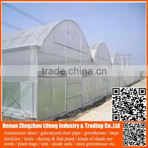 Plastic Agriculture pe Anti-insect Net , Hdpe Greenhouse Insect Net , Nylon Insect Net With Low Price thumbnail-3