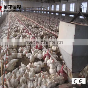 Poultry Cage Chicken Feeding System thumbnail-2
