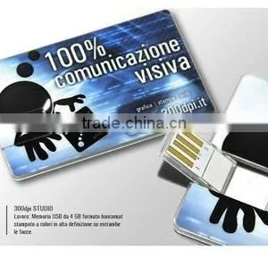 Nice Price Plastic USB Drive Card With 2gb, 4gb, 8gb, 16gb, 32gb, 64gb Capacity thumbnail-3
