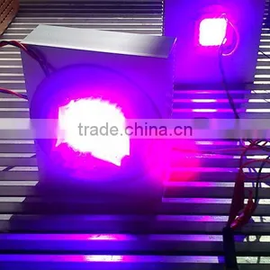 Shenzhen Factory Led Chip 20w Full Spectrum,lighting Diode 20w 100w thumbnail-2