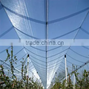 Quolity Cheapest HDPE Knitted White Apple Tree Anti Hail Net thumbnail-6