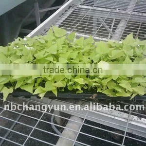 China Supplier Plant Growing Tray Seed Germination Tray for Greenhouse With Good Price thumbnail-2
