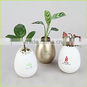 No Drainage Eco-friendly Oil Coating 9 Color Flower Pots Wholesale thumbnail-2