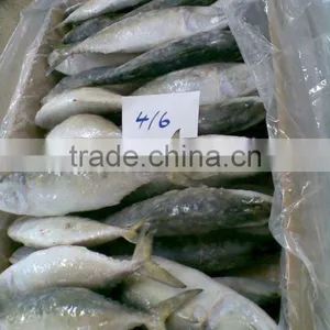 Sea Fresh Indian Mackerel thumbnail-1