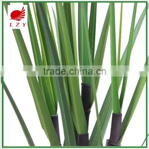 Factory Direct Sale Large Garden Decoration Onion Grass thumbnail-2