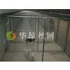 Chain Link Dog Kennel thumbnail-1