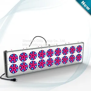 CILDY Led High Power High Lumen 650w Led Grow Light 18 for Hydroponic Grow Room Tent,agricultural Greenhouses Used thumbnail-1