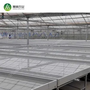 Aluminum Frame With Hot Galvanized Greenhouse Ebb and Flow Rolling Bench thumbnail-4