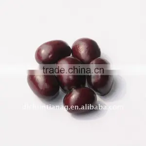 Purple Round Bean thumbnail-1