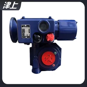 Tianjin Bernard Electric Valve Actuator B+RS160/F28Z Redundant Communication Mode thumbnail-5