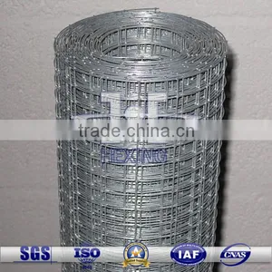 Hot-dipped Galvanized Welded Wire Mesh Roll thumbnail-1