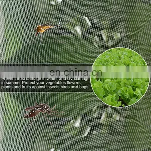 60 Insect Mesh Transparent Color Plastic Anti Insect Netting to Cover Greenhouse Plants thumbnail-3