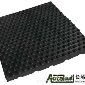 Stud thumbnail-3