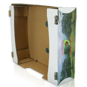 Corrugated Fruit Box for Avocado Printed Cardboard Packaging for Fresh Produce thumbnail-2
