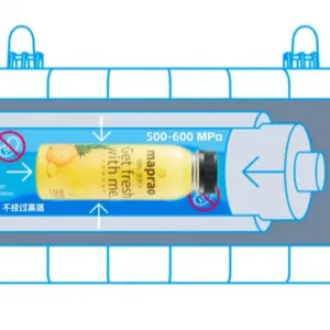 Automatic Pineapple Production Line Pineapple Juice Hpp Juice Processing Equipment thumbnail-3