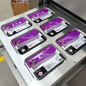 Vacuum Sealing Machine for Boxed Hairtail Blocks, Small Seafood Box-type Fresh-keeping Modified Atmosphere Packaging Machine thumbnail-4