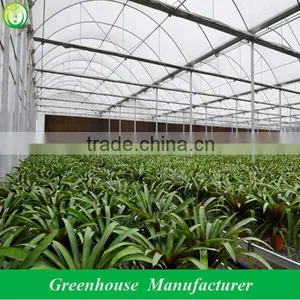 Plastic Outdoor Greenhouse for Flowers thumbnail-1