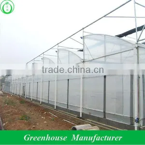 Cheap Poly Greenhouse thumbnail-1
