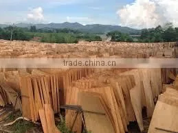 Eucalyptus Veneer thumbnail-1