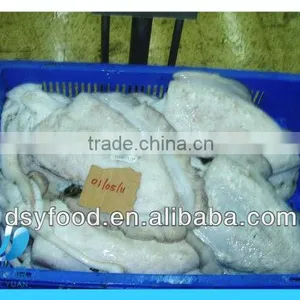 Fresh Frozen Whole Cuttlefish on Sale thumbnail-2