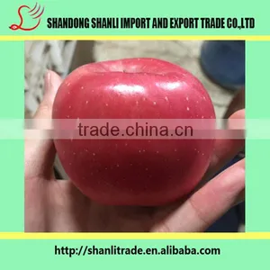 Buy Paper Bagged/fresh Yiyuan Fuji Apple/chinese Apple Price thumbnail-1