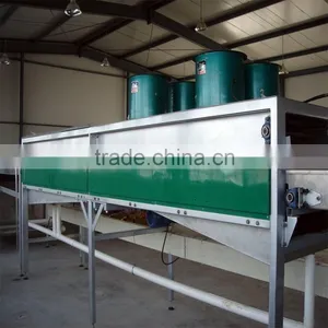 Kiwi Sorter Machine thumbnail-6
