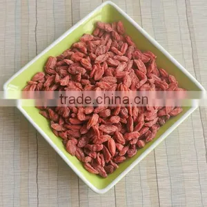 2015 Goji Berry Price thumbnail-6