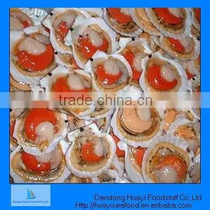Frozen Scallop thumbnail-1