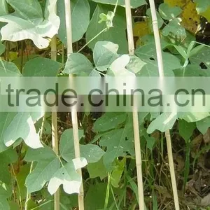 Bamboo Hoops - for Nurseries thumbnail-1