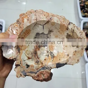 Petrified Wood Stone Fossil Ashtray thumbnail-1