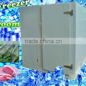 Freezer Room for Meat and Fish -25C thumbnail-1