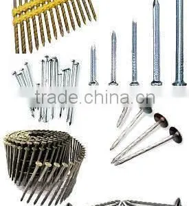 Galvanized Nail Coil Nail thumbnail-1