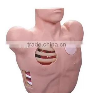 Thoracentesis Drainage Models , Medical Teaching Models thumbnail-1