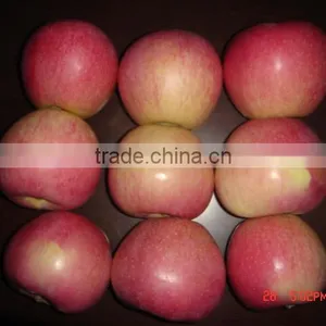 Qinguan Apple thumbnail-1