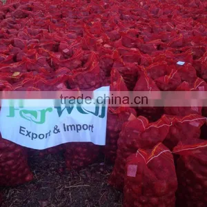 Fresh Onion From Egypt High Quality thumbnail-1