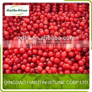 Frozen Lingonberry thumbnail-1
