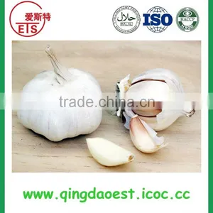 2016 High Quality Fresh White Garlic From China thumbnail-5