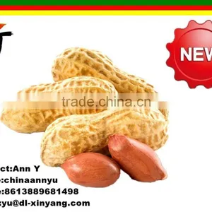 Wholeslae Garlic Roasted Peanuts thumbnail-2