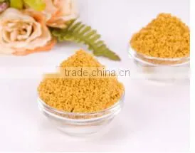 Soybean Lecithin Powder thumbnail-1