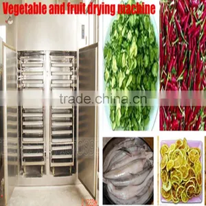 Best Selling Food Dehydrator Vegetable and Fruit Drying Machine thumbnail-1