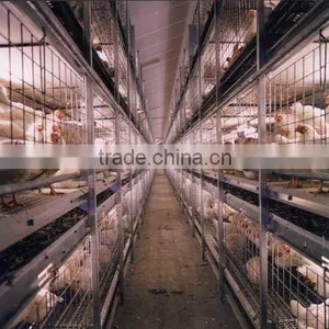 Poultry Equipments thumbnail-1