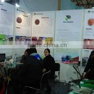 Factory Direct Supply Organic Seaweed Based Fertilizer With 100% Water Soluble thumbnail-6