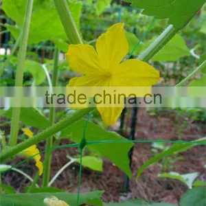 Climbing Plant Support Trellis Netting thumbnail-6