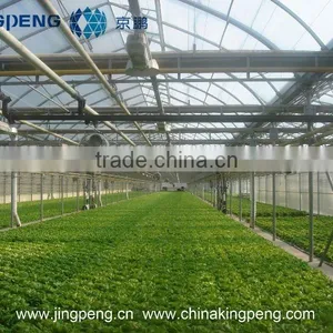 Used Greenhouse Structure thumbnail-2