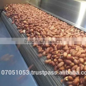 PEANUT ROASTING MACHINE (Model: EVRO 2500) thumbnail-2