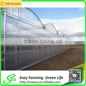 Polycarnonate Sheeting Greenhouse for Sale thumbnail-1