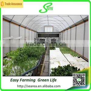 Low Cost Plastic Agriculture Greenhouse thumbnail-3