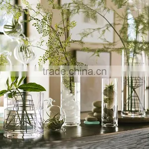 Cylindrical Straight Hydroponic Glass Containers Transparent Glass Vase thumbnail-1