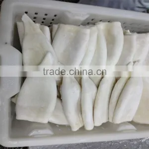 IQF U10 Pacific Squid Tube thumbnail-6