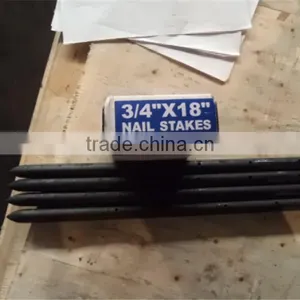 3/4*12" in Round Steel Nail Stake on Hot Sale thumbnail-2